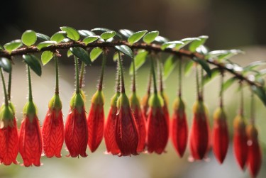 广州白云区私人快速借钱网，轻松解决资金难题
