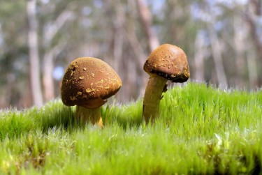 广州白云区私人老板放款：轻松融资的秘密通道